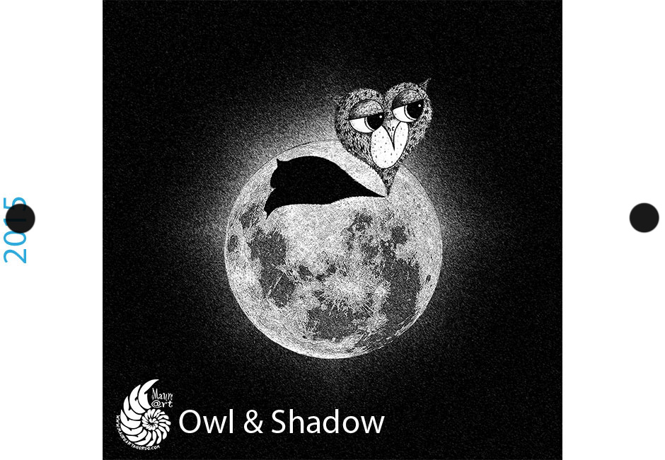 owl and shadow